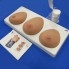 Модель для обучения самообследованию молочной железы, 3 отдельных молочных железы на основании
