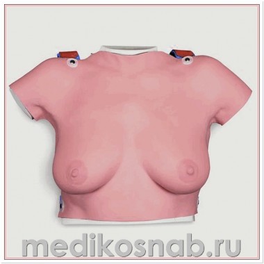 Одеваемая модель для обучения самообследованию молочной железы в чемодане