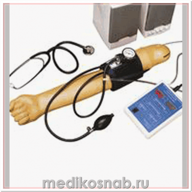 Тренажер руки для измерения артериального давления с динамиками, 220 В, доп. комплектация для W45001