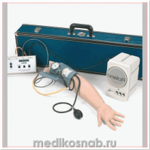 Тренажер руки для измерения давления с внешней аккустической системой, 230 В